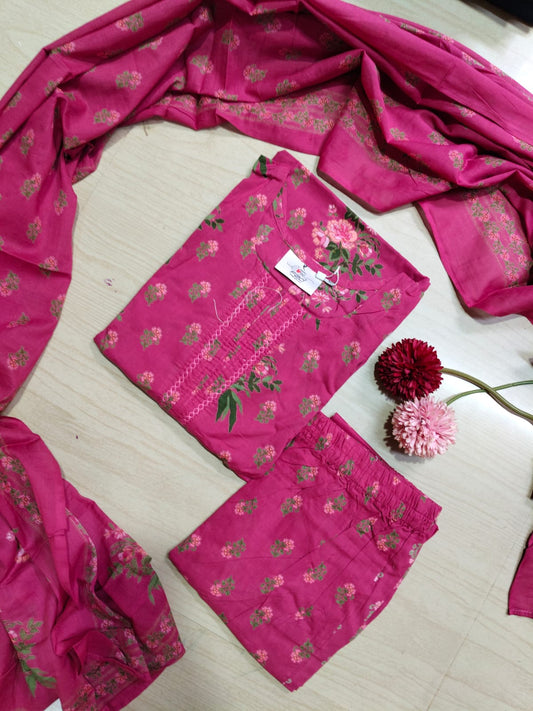 Delight  Kurti Set - DKS81