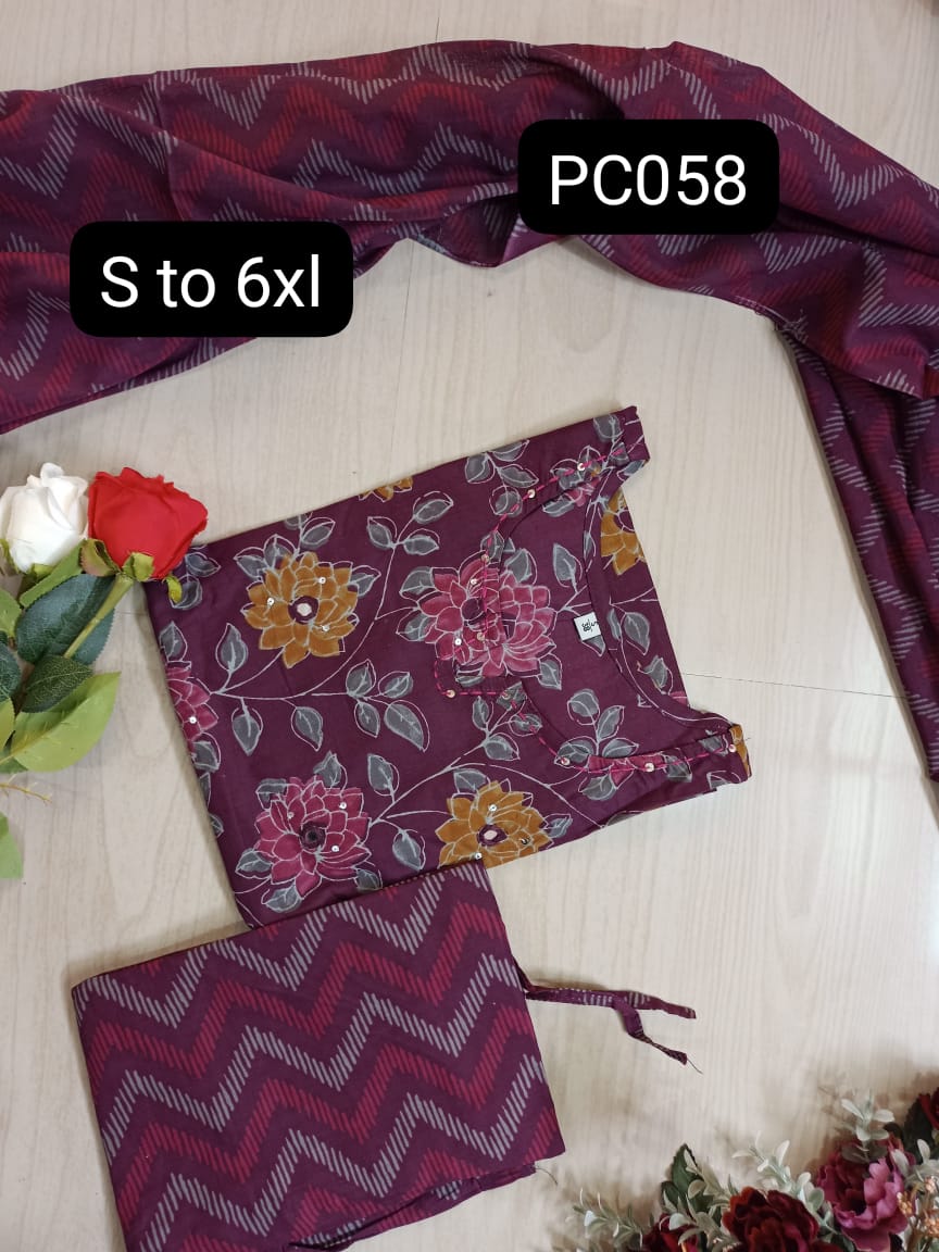 Kurti Set - PC058