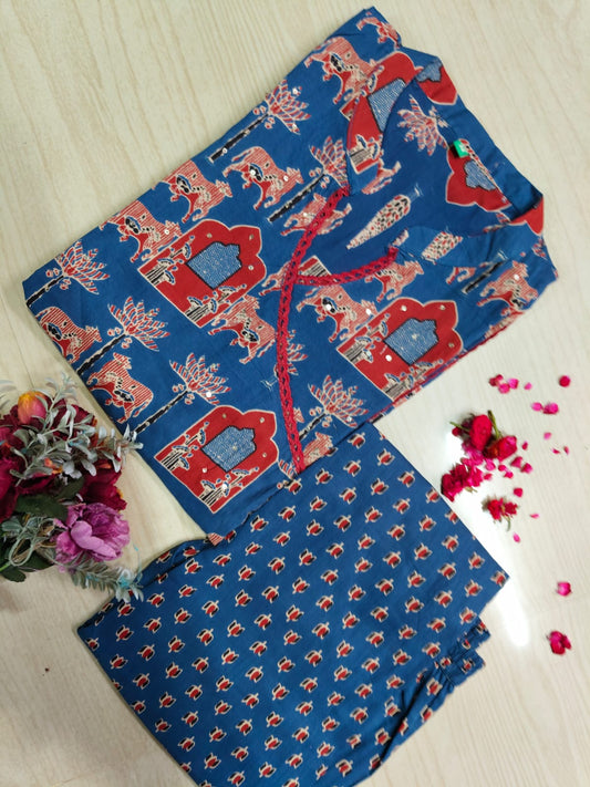 V neck Kurthi with Pant  ALN44